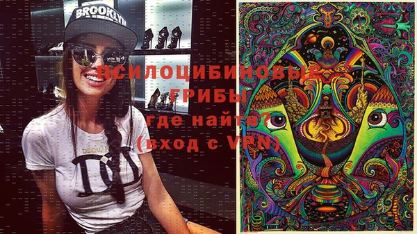 ПСИЛОЦИБИНОВЫЕ ГРИБЫ Дмитров