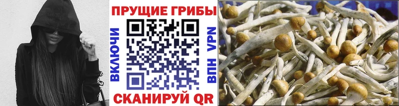 Галлюциногенные грибы мухоморы  Купить где  Тейково 